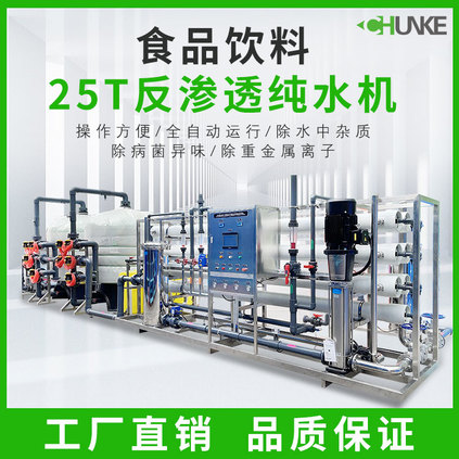 25T/H反渗透纯水机设备